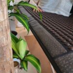 Pachet de cuplu - imagine 5