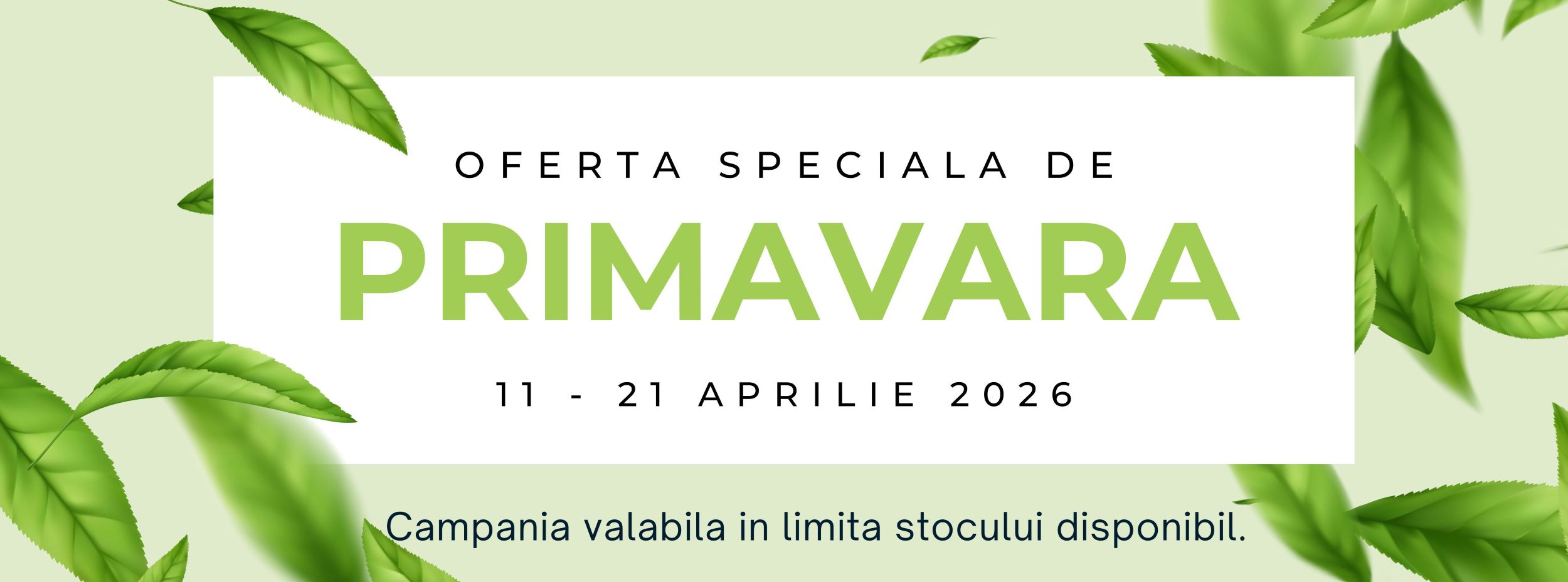 oferta speciala de primavara