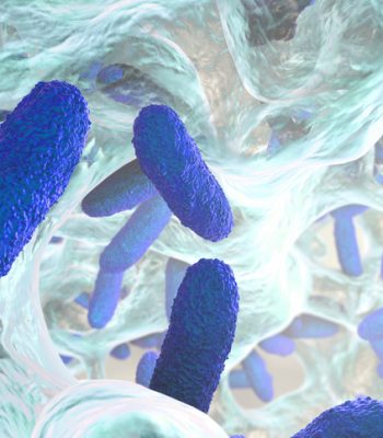 Biofilm containing bacteria Klebsiella, 3D illustration. Gram-negative rod-shaped bacteria which are often nosocomial antibiotic resistant